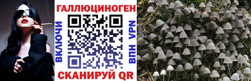 купить Остров Псилоцибиновые грибы GOLDEN TEACHER